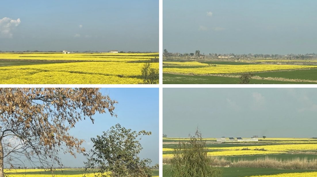 God’s canvas is so vast and so beautiful.