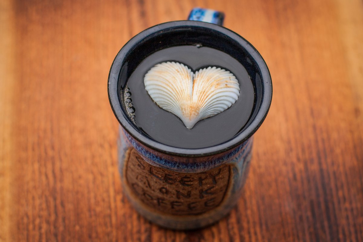 Sleepy Monk Coffee Roasters tweet media