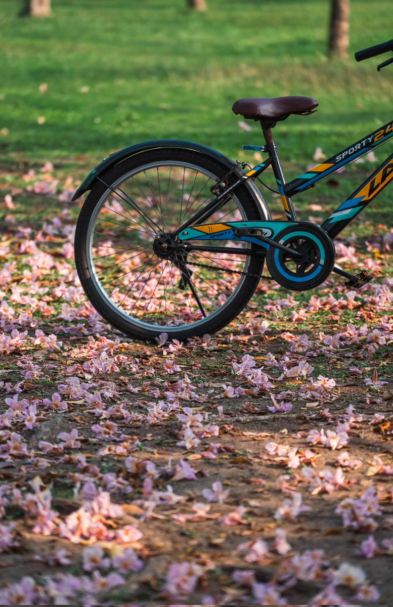 มุมจากสวนรถไฟครับ
ถ่ายเมื่อวันที่ 15 กพ. 69 ครับ
เนื่องจากอากาศร้อนมากครับ น้องชมพูพันธุ์ทิพย์เลยร่วงเร็วครับ แต่ยังพอมีเหลือบนต้นบ้างยังไงถ้าใครไปไม่เจอก็ถือว่าไปเดินเล่นได้นะครับ อากาศโดยรวมดีครับ 😊