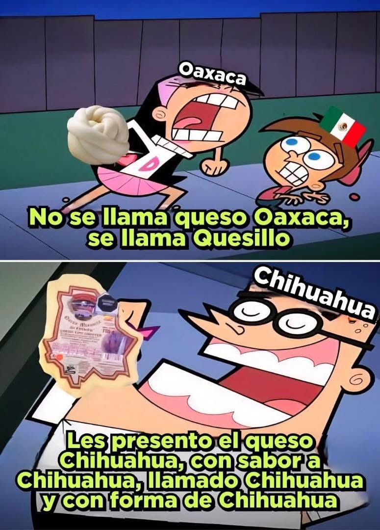 DonJulioFrausto's tweet image. TKM Chihuahua 🗣️