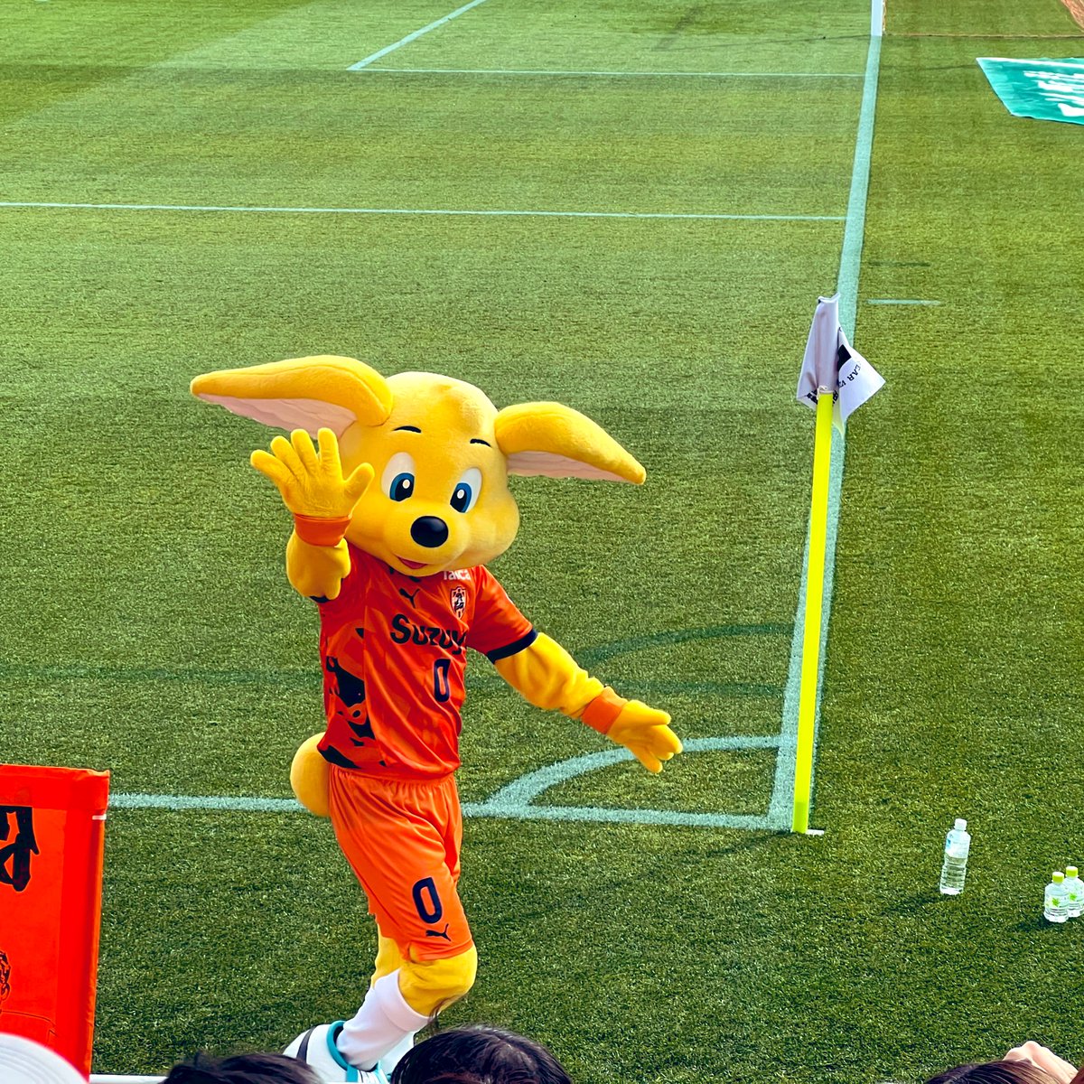 パルちゃんピカルちゃん元気いっぱいだったなぁ。。。 リセールで急遽