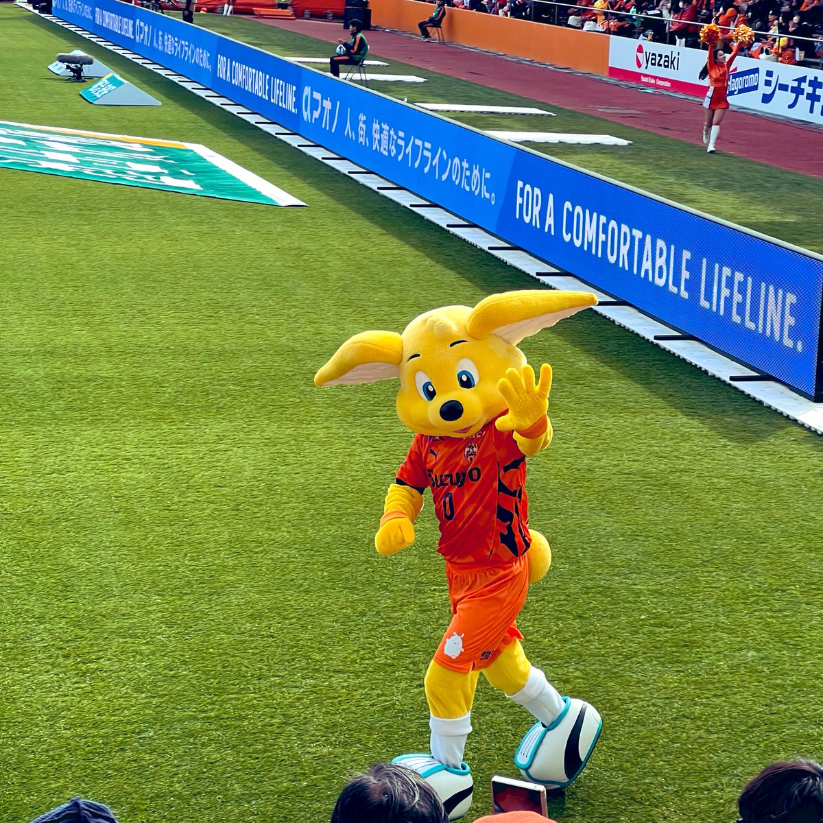 パルちゃんピカルちゃん元気いっぱいだったなぁ。。。 リセールで急遽