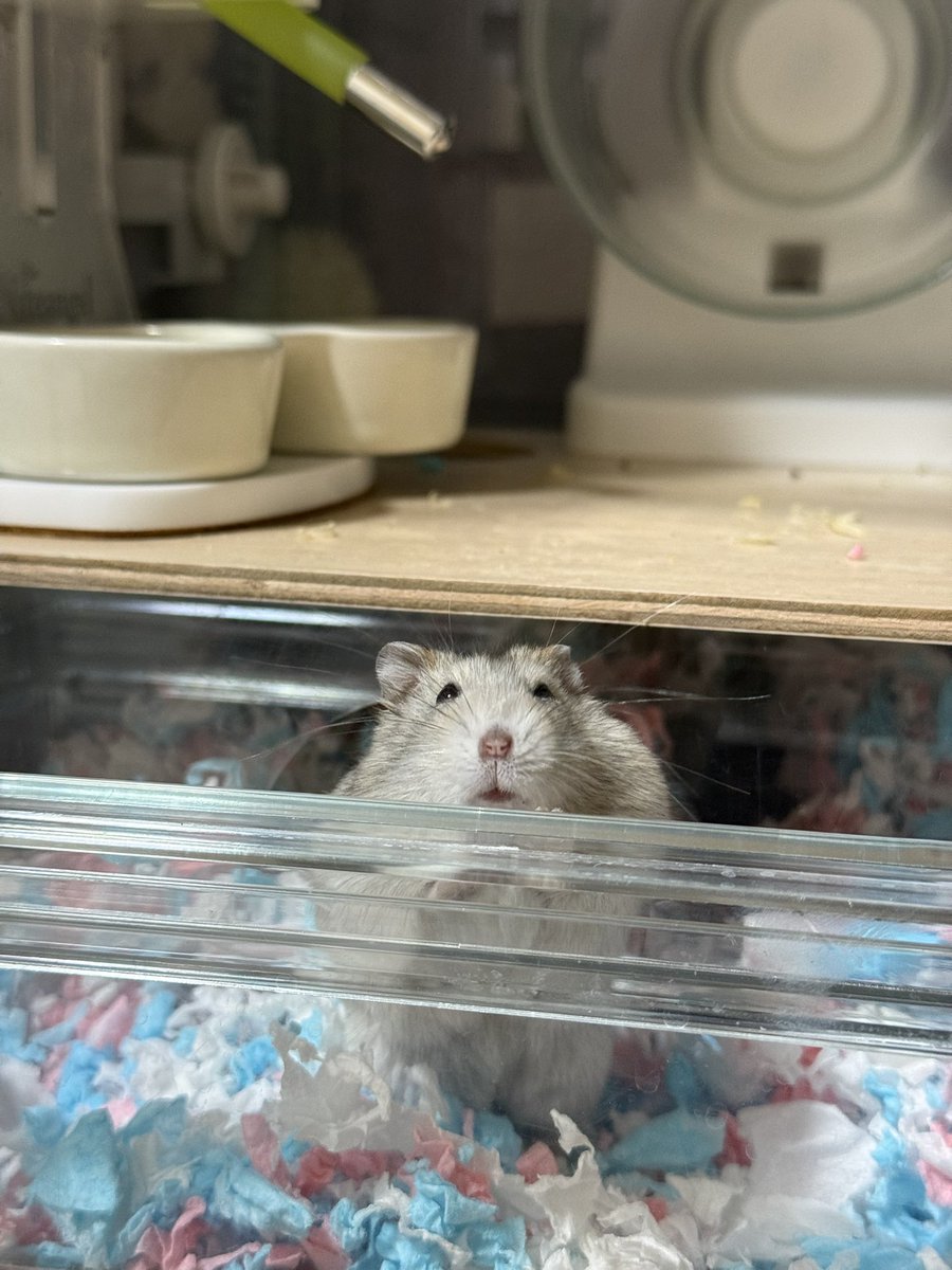 みんな、おはよ~❣️
きょもがんばる~❣️