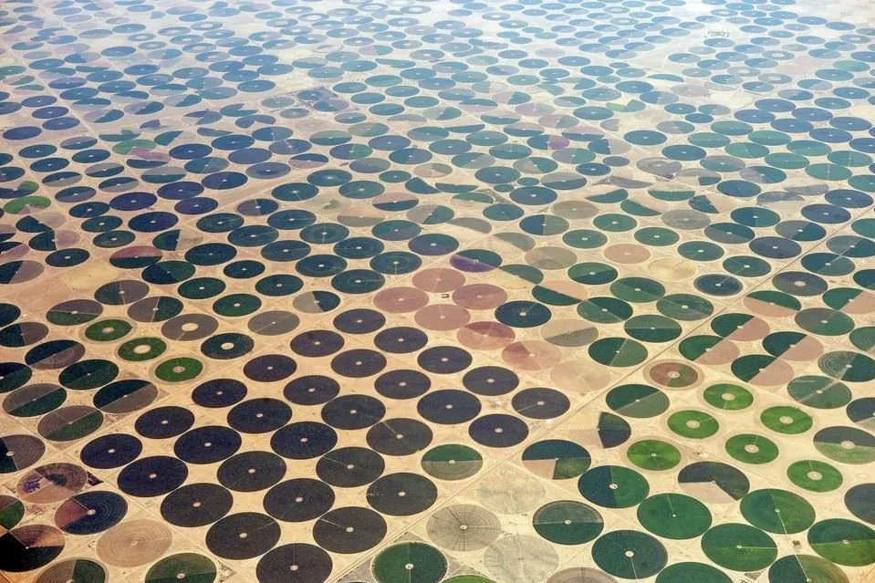 Why does Saudi Arabia have these crop circles everywhere?

in the 1970s they tapped into ancient fossil aquifers underground reservoirs of water that accumulated over tens of thousands

The water they're using is essentially non-renewable. And it will eventually all be depleted