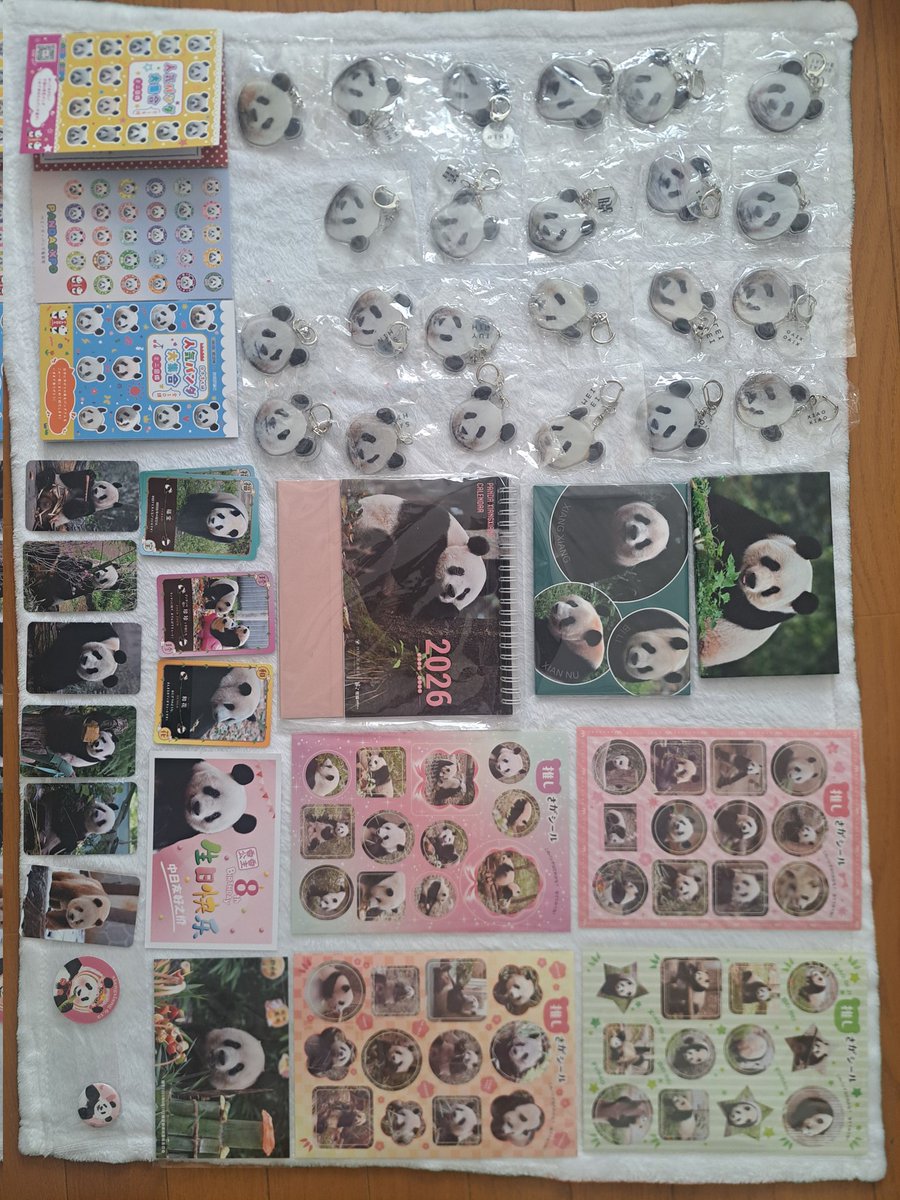 週末のウエノデ・パンダ春節祭行ってきました。
１枚目は日本パンダ保護協会
2枚目はそれ以外で購入(頂き物含む)しました。大変な混雑の中、スタッフの皆様ありがとうございました。楽しませていただきました😊
2026.2.15
#ウエノデパンダ春節祭2026