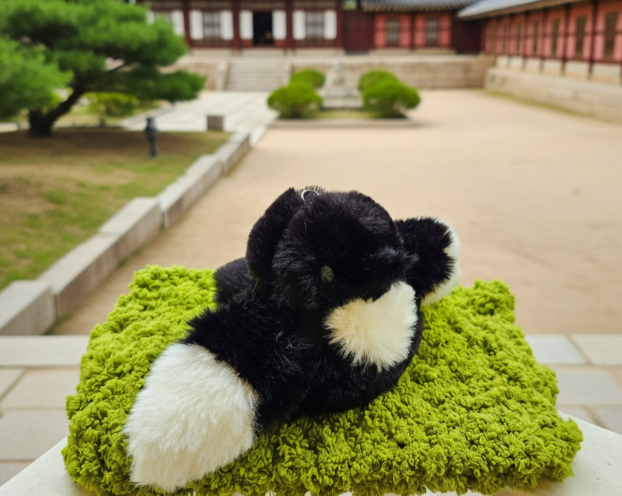 털찐이(tulzzini)26일 다이스페스타 tweet media