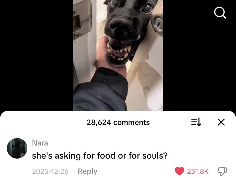 انهرت من الضحك😭😭😭😭😭😭 حقيقي اعوذ بالله من الشيطان …