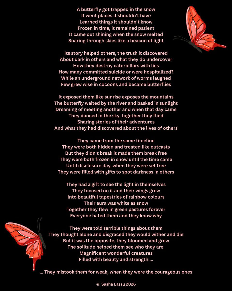SashaLassu's tweet photo. The butterfly. 🦋 https://t.co/9RE7JLetrQ