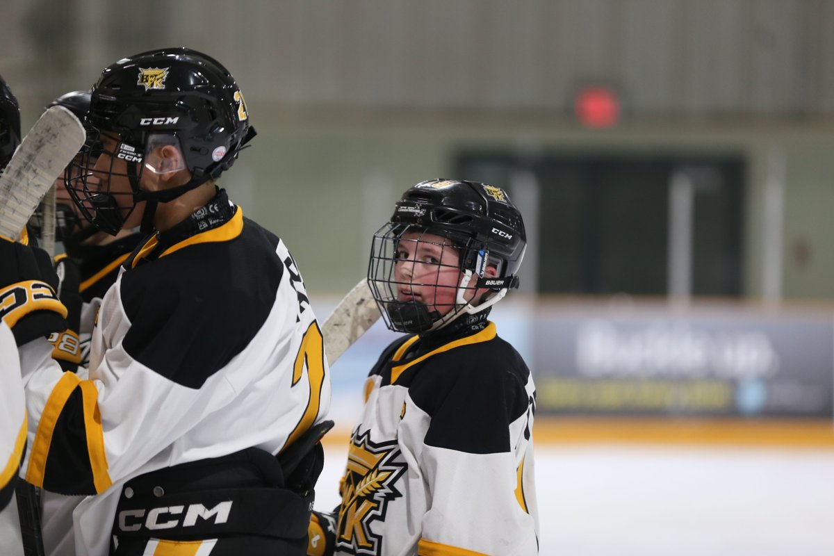 Brandon ToC tweet media