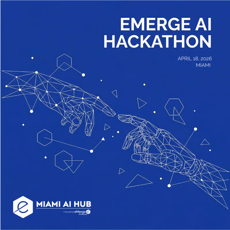 Burhan Sebin tweet media