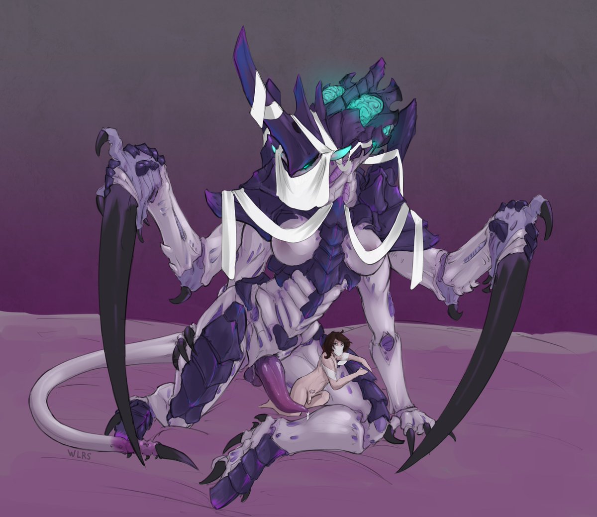 Wallross tweet media