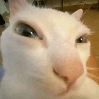 Una partidas de Fortnite 😼🙏
twitch.tv/zaidcos_