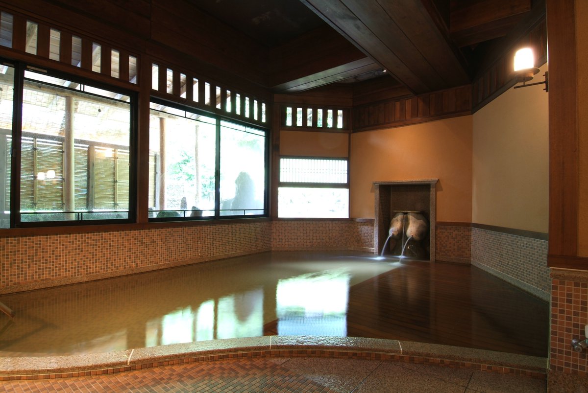 おっぱい風呂で間違いありません♨️
落ち着く雰囲気で、良い～お湯です。

日本三大薬湯・松之山温泉のひみつ | 十日町市観光協会
tokamachishikankou.jp/special/specia…