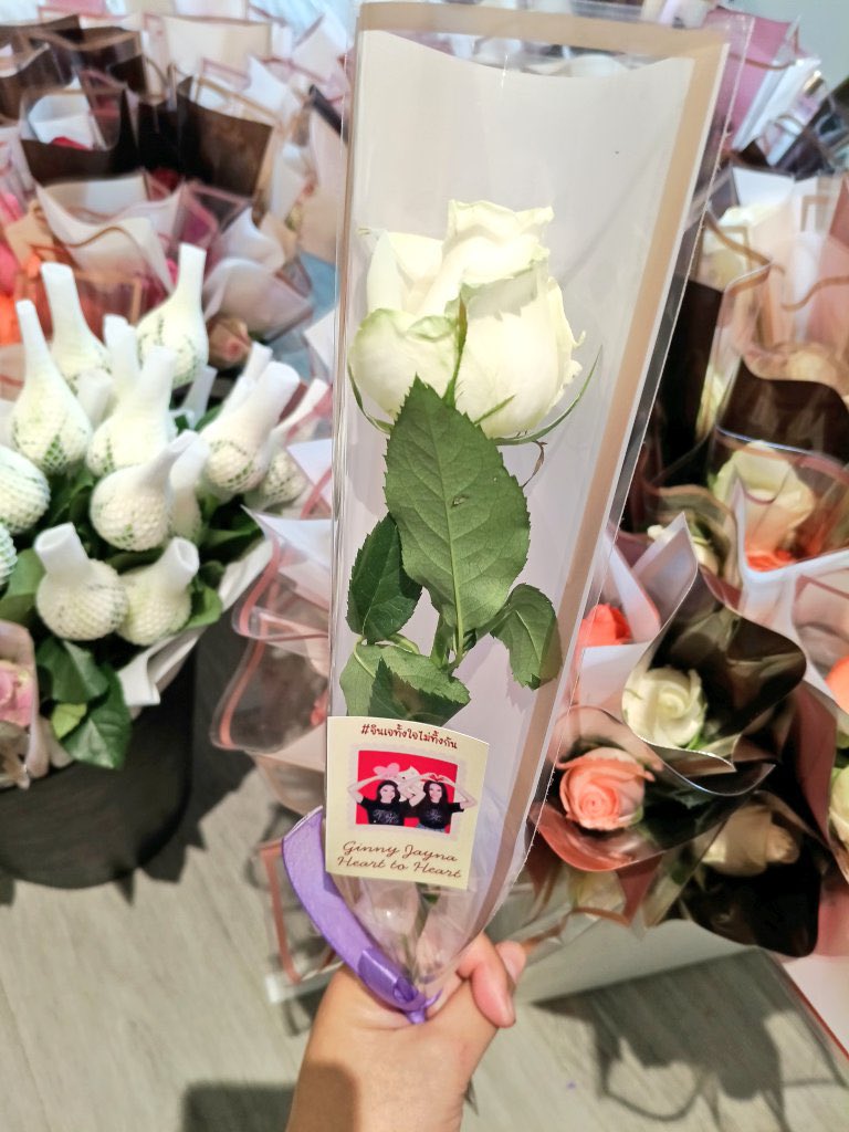 คอนจบไป 2 วันได้เวลารีแคปเก็บไว้นิดนึง 
อาจจะหลายโพสหน่อยนะทุกคนขออภัยคับ

ก่อนอื่นขอเริ่มจาก #ทีมจินเจทั้งใจไม่ทิ้งกัน กับโปรเจคดอกกุหลาบวันวาเลนไทน์ 

ขอบคุณ <a href="/p_pajyuj36/">ซาเฟีย🌹</a> สำหรับกุหลาบทั้งหมดที่พยายามหามาให้ในช่วงนี้ บางอันหายากมาก ถึงตัวไม่มาแต่ถามไถ่เรื่องกุหลาบตลอด 
ขอบคุณ