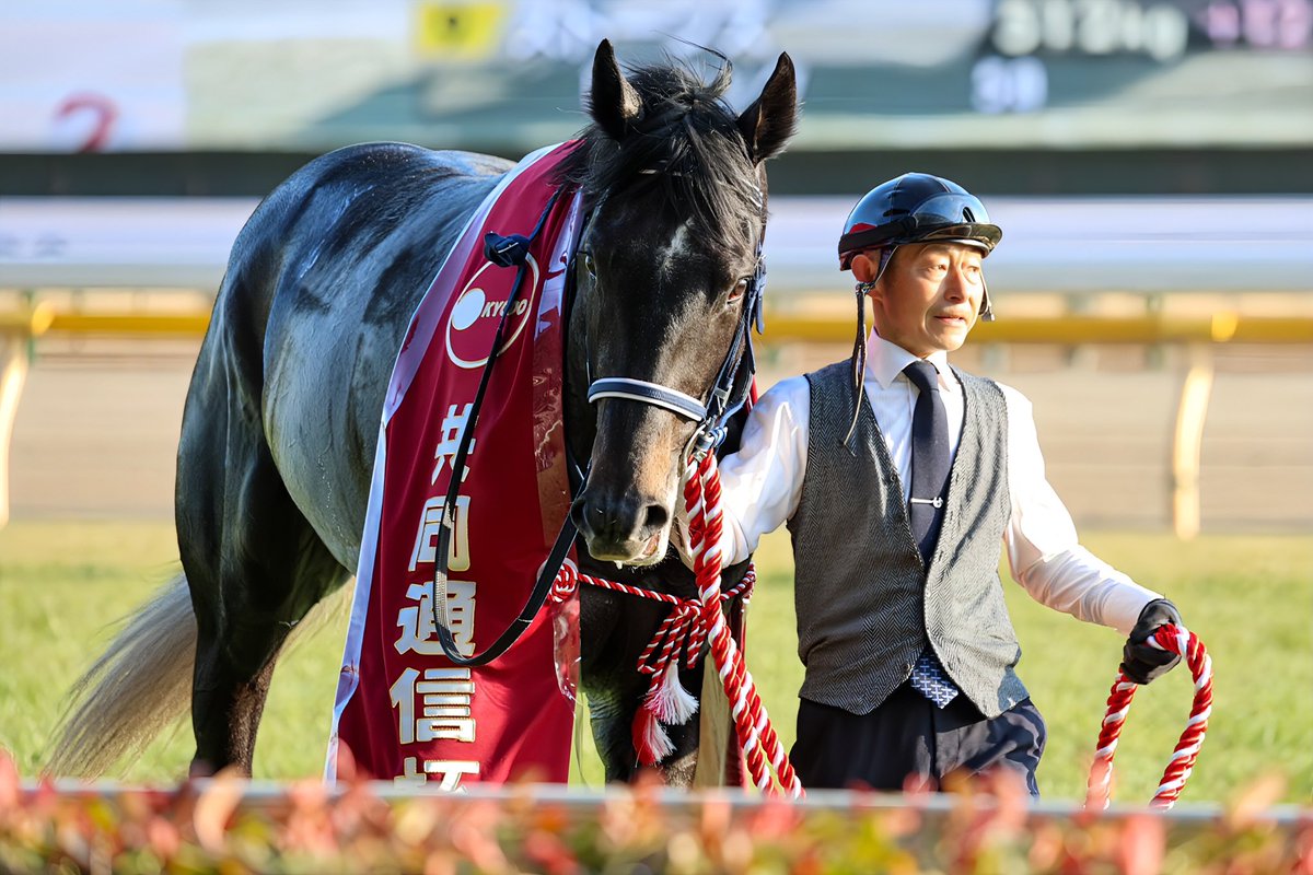 2026.02.15
東京11R GIII 共同通信杯

リアライズシリウス×津村明秀┊ 1着🥇