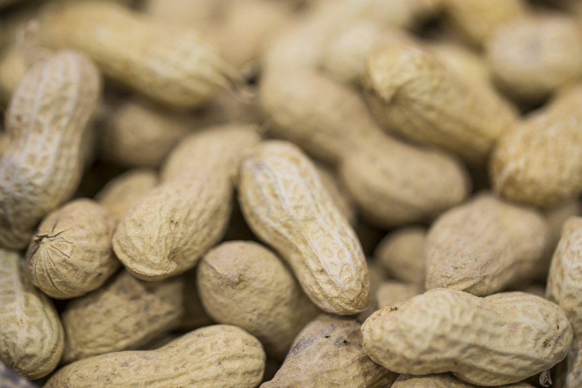 ISAAA Inc. tweet media