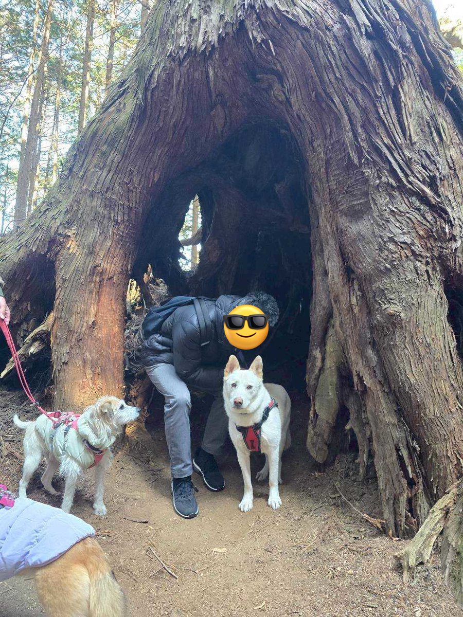 wanchan516's tweet photo. 御岳山⛰️登ったよー🐕️🐾 https://t.co/O6LbOBFvfO