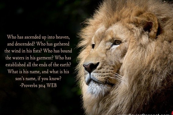 1TruthAndGrace's tweet photo. #Proverbs30:4 https://t.co/bld0M4mRY6