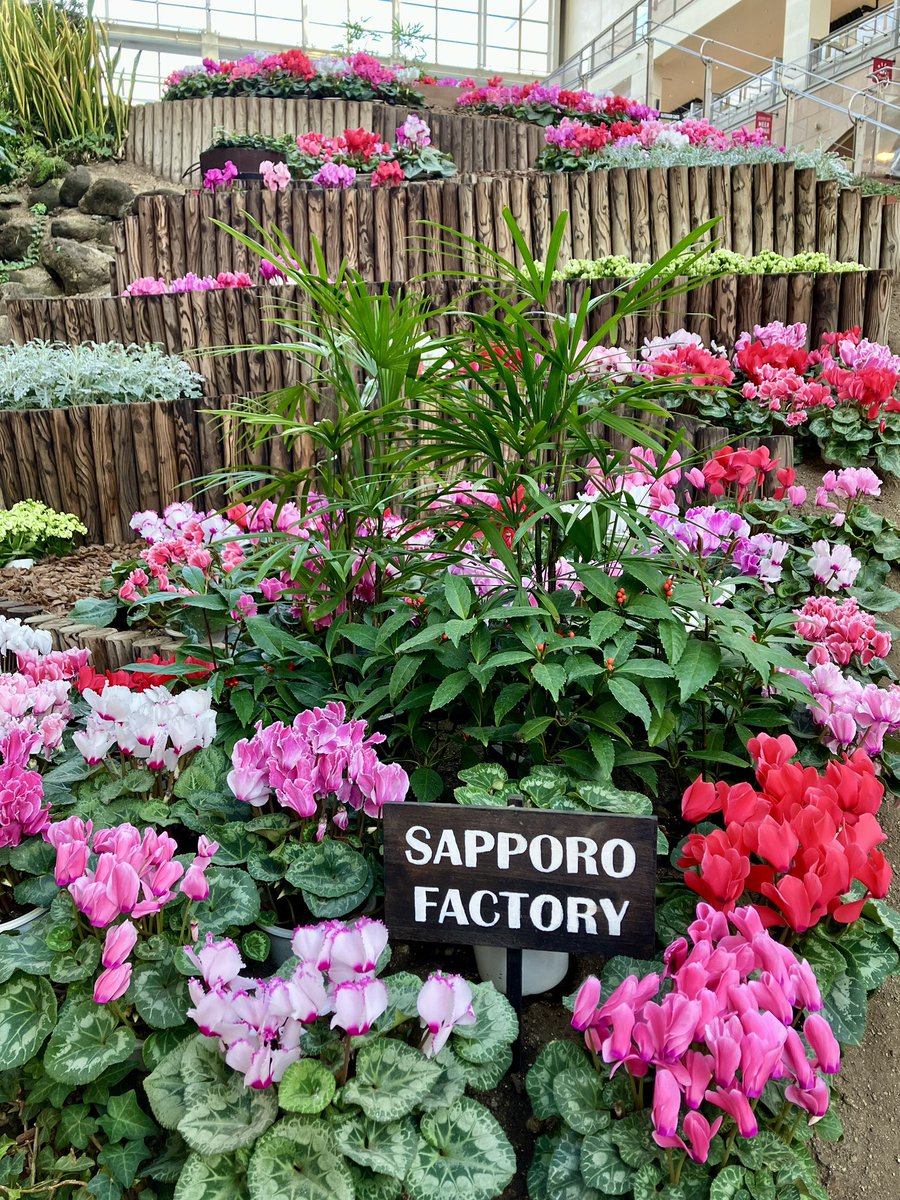 サッポロファクトリー tweet media