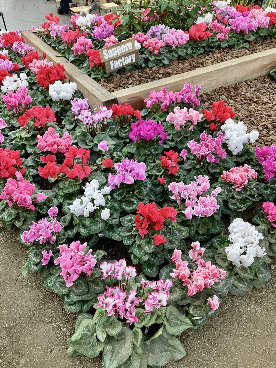 サッポロファクトリー tweet media