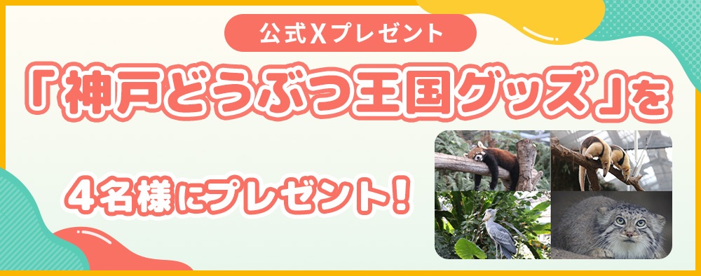 プレゼント企画①🎁
／
神戸どうぶつ王国グッズ
＼
を４名様にプレゼント✨
※グッズの種類は選べません！
　届いてからのお楽しみ🎶

⬇️応募方法はこちら⬇️
①<a href="/ytv_nobishiro/">読売テレビ シノビーのノビしろ【公式】</a> をフォロー
②このポストをリポスト

締切：2/18(水)23:59まで
当選者にはDMにてご連絡します📩