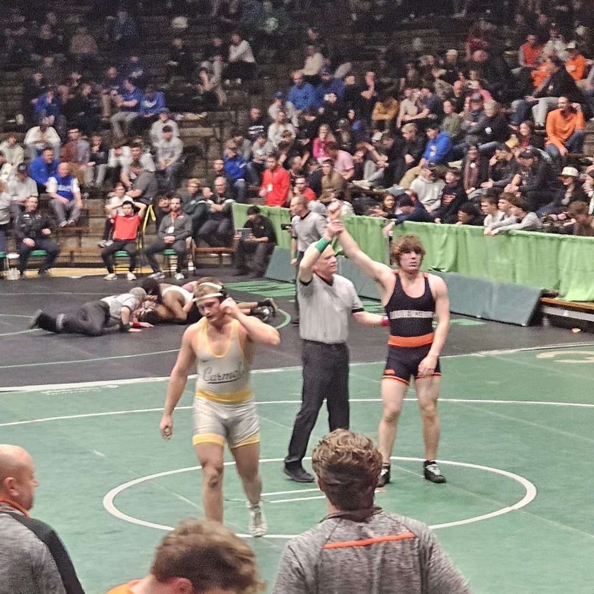 Max Nelson tweet media