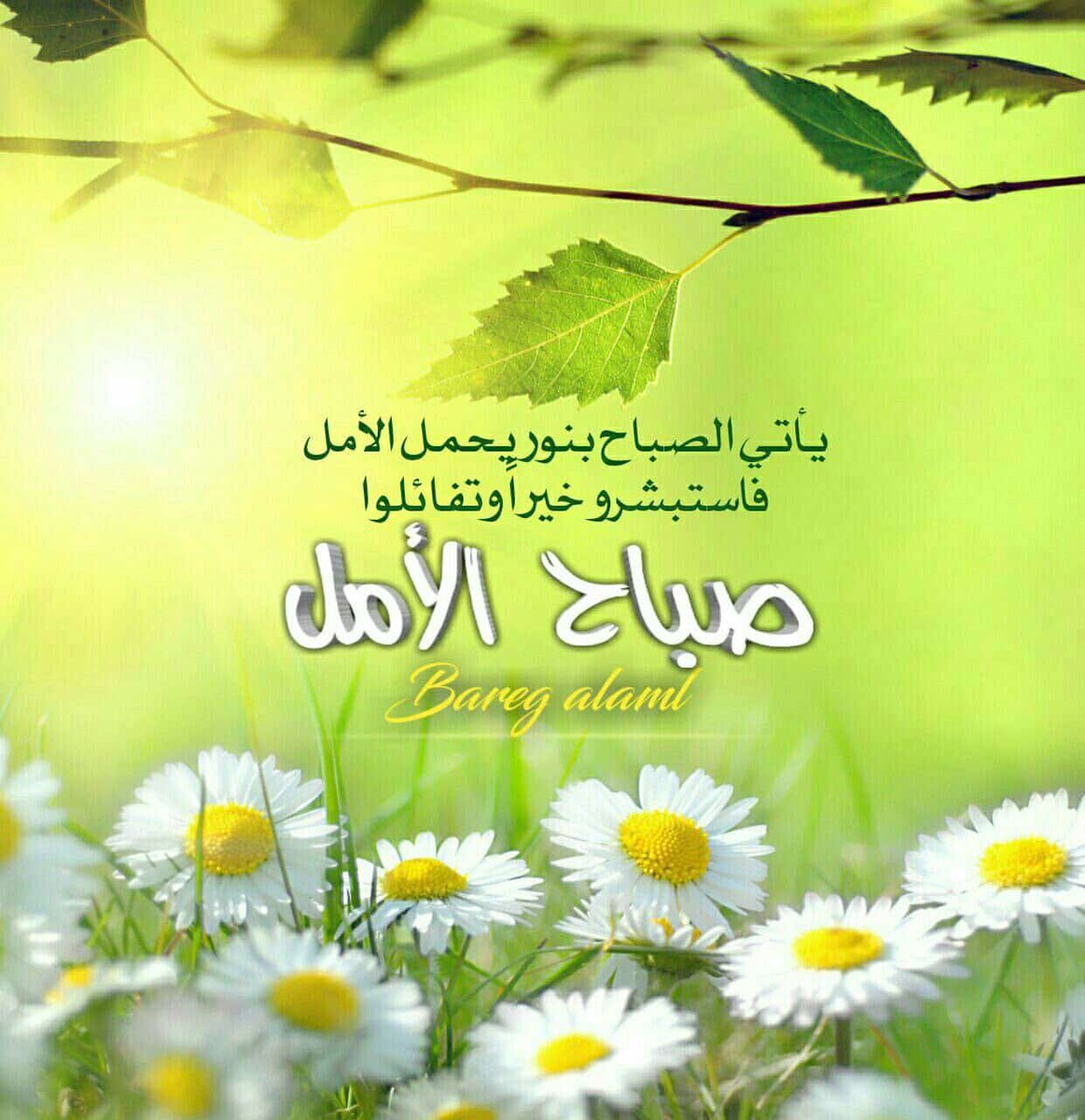 صباح الخير يا من تؤمنون أن لكل فجرٍ رسالة 🌤️

ليس كل ما يتأخر يُنسى، فبعض الأقدار تحتاج وقتًا لتنضج، وبعض الدعوات تصعد طويلًا قبل أن تعود إلينا فرحًا.

صباحٌ يليق بقلوبكم البيضاء، وأيامٌ تمتلئ رضا وهدوءًا.✨️

✍🏻 𝒴𝑜𝓊𝓈𝒾𝒻 🤍
#صباح_الخير_والسعاده
