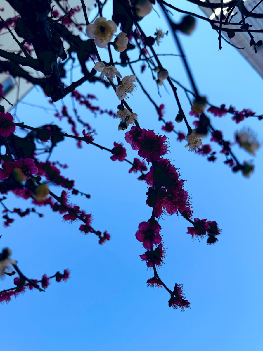 おはようございます🌤️