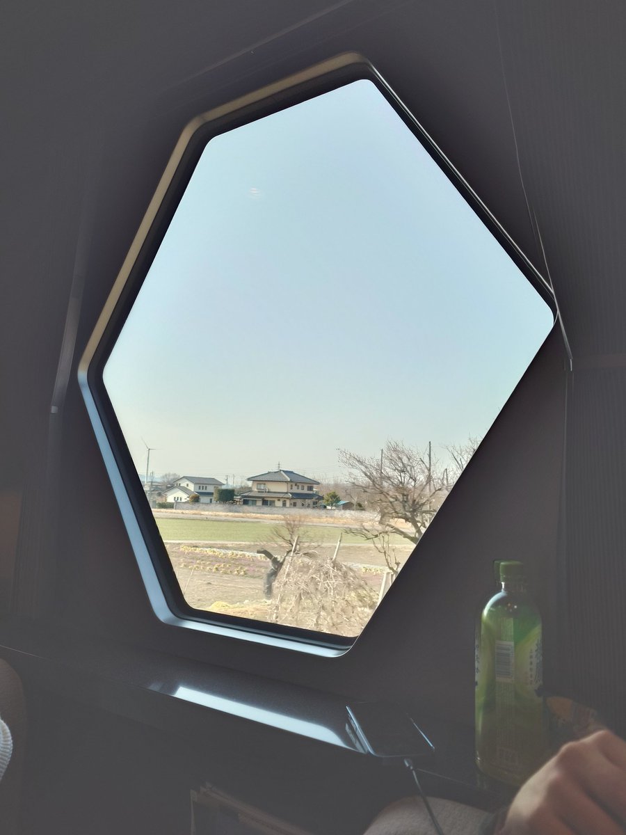 りーふ🍀 tweet media