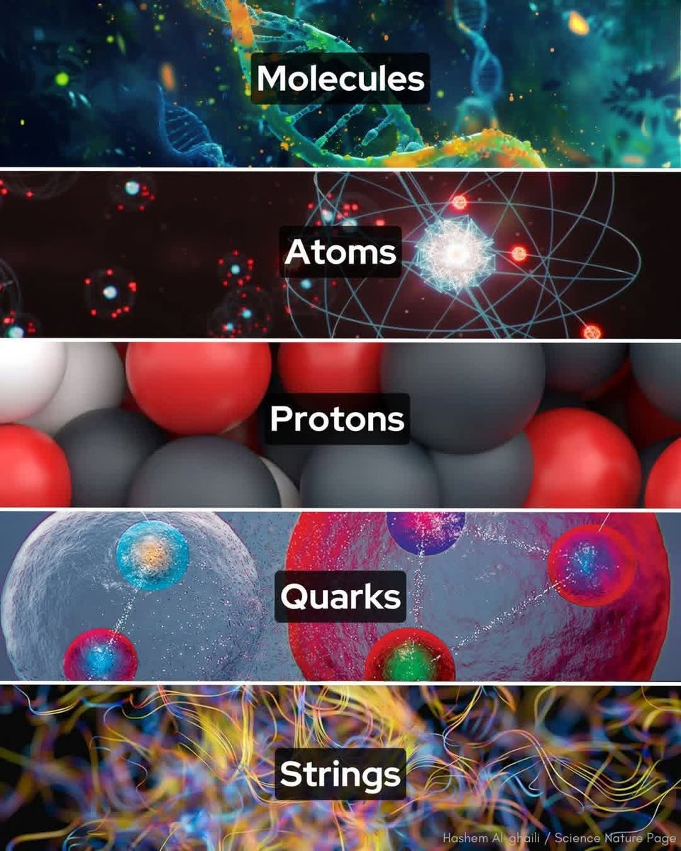 Night Sky Now tweet media