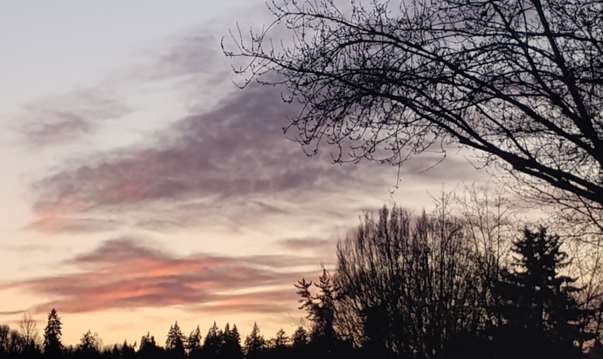 Sunset 
Woodinville, Washington