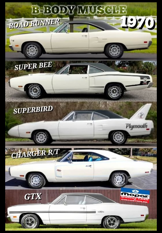 𝕊𝕥𝕖𝕧𝕖𝕟 𝕄. 𝕃𝕖𝕘𝕒𝕔𝕪 🇺🇸 tweet media