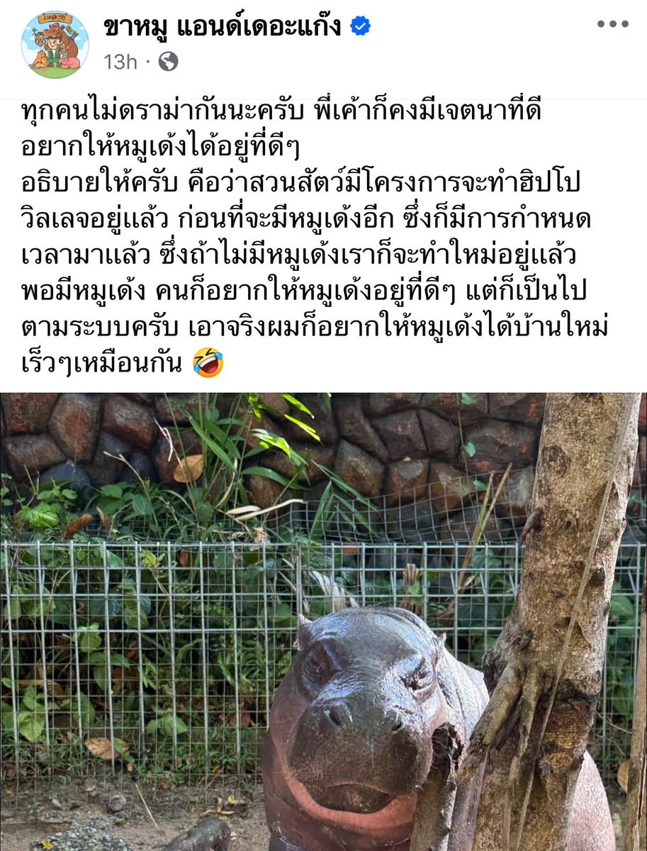 พ่อหมูเด้งทัศนคติดีมาก