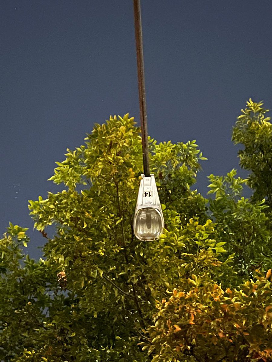 osanchezlara's tweet photo. @locatel_mx @AccionesBJ @BJAlcaldia Buenas noches, ¿alguna novedad? La luminaria sigue sin funcionar https://t.co/7z9s0x8vNH