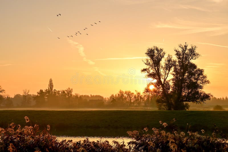 Good morning my x Fam☕
Wishing you a fresh, energetic start to this beautiful Monday in Prayagraj. May your day be filled with positivity, productive moments, and maybe a strong cup of chai or coffee to kick things off right.
Here's a peaceful sunrise to match the vibe: