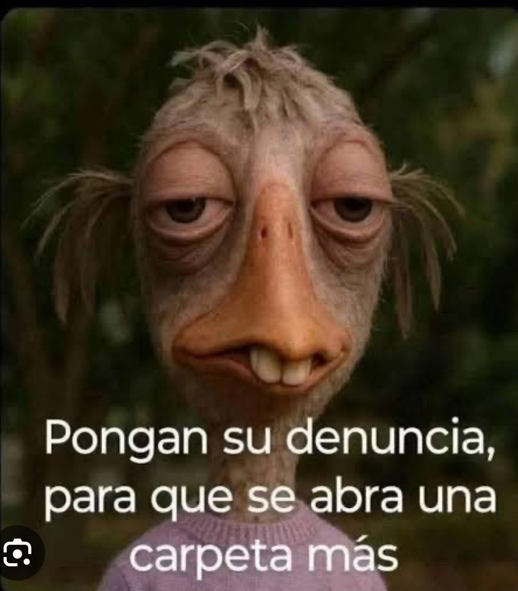 dr probiotico tweet media