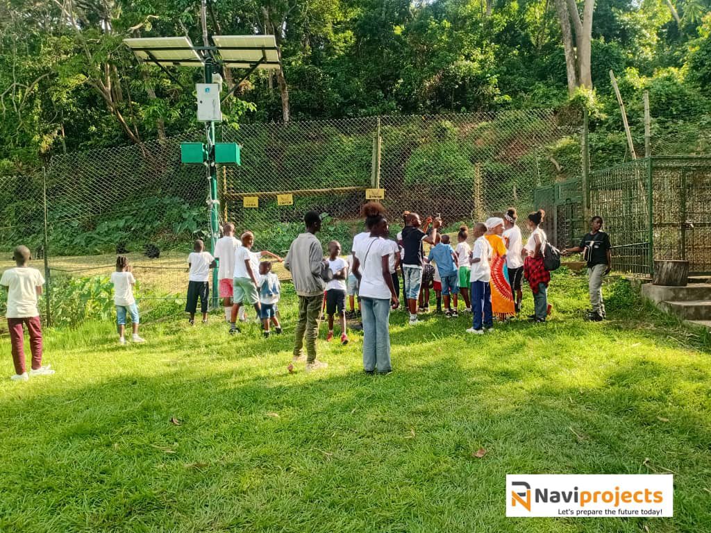 Naviprojects LLC- Livres jeunesse/Children’s books tweet media