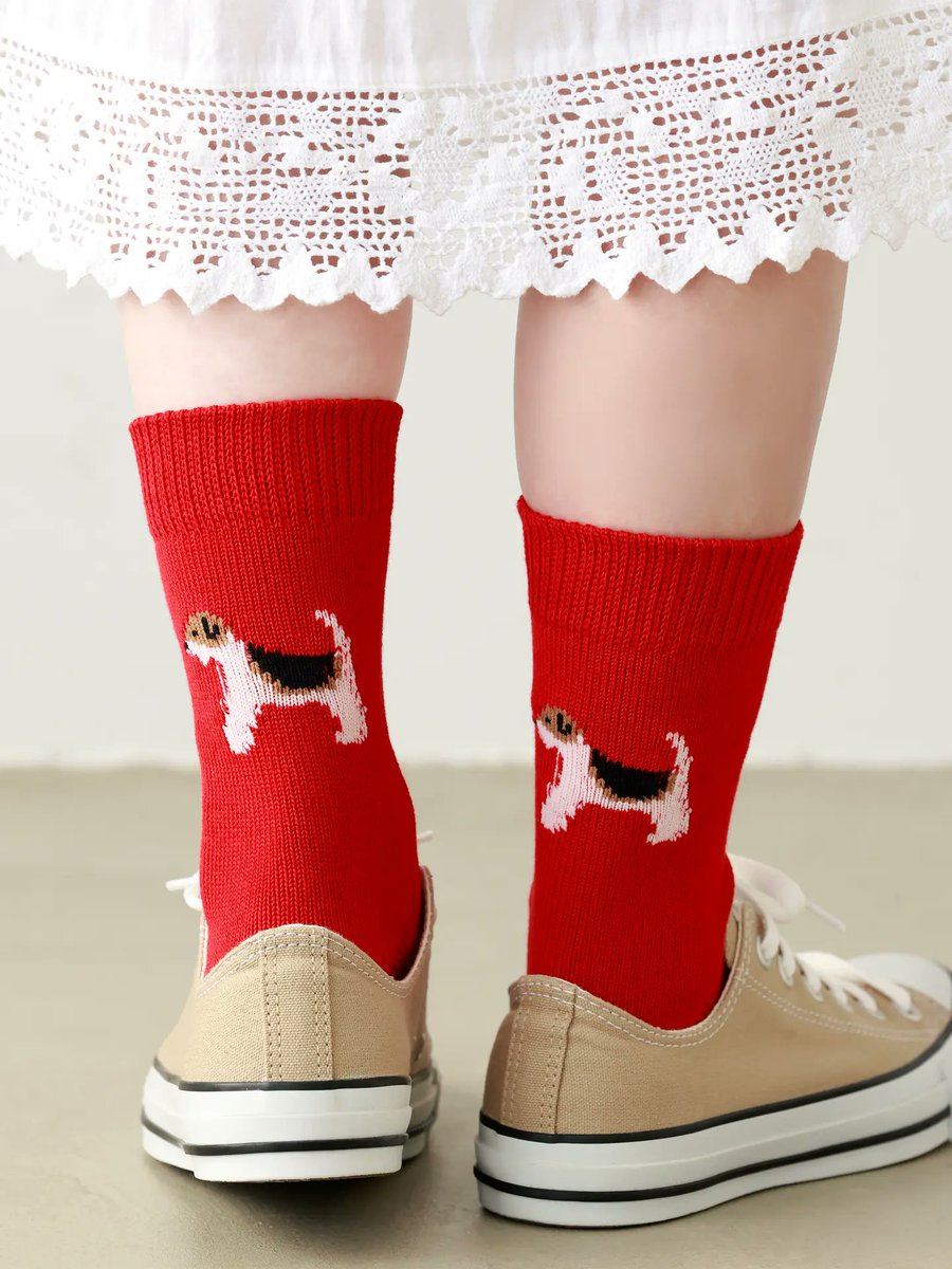 ワンちゃんのかわいいよ🐶