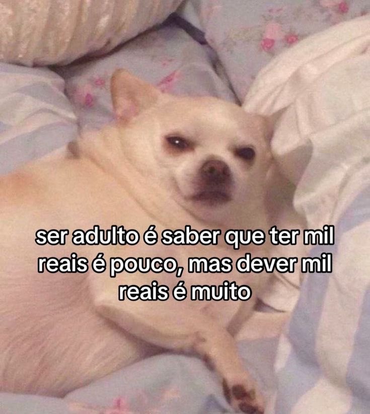 paginalixo1's tweet image. 