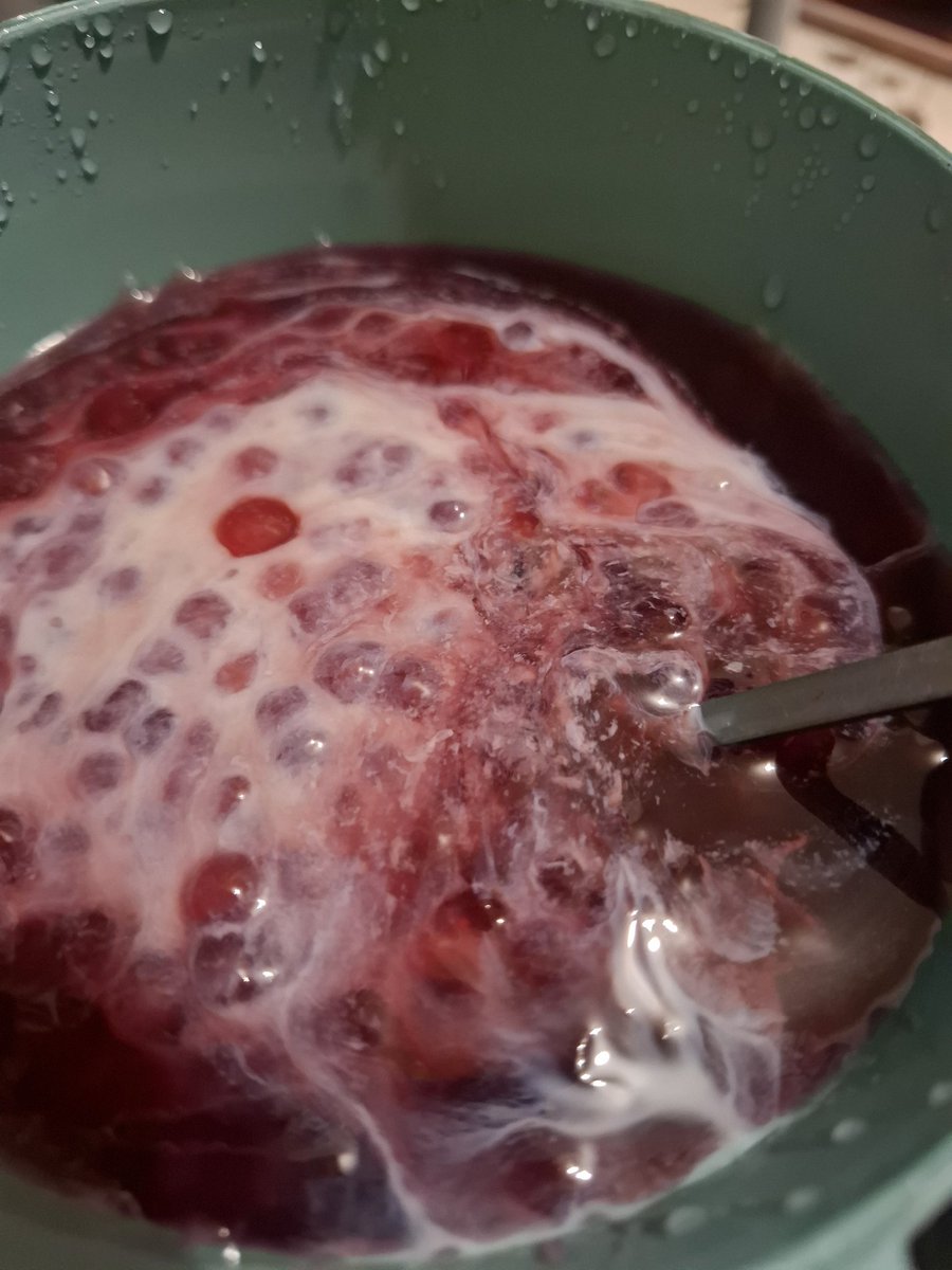 Sagu quem não gosta não é boa gente