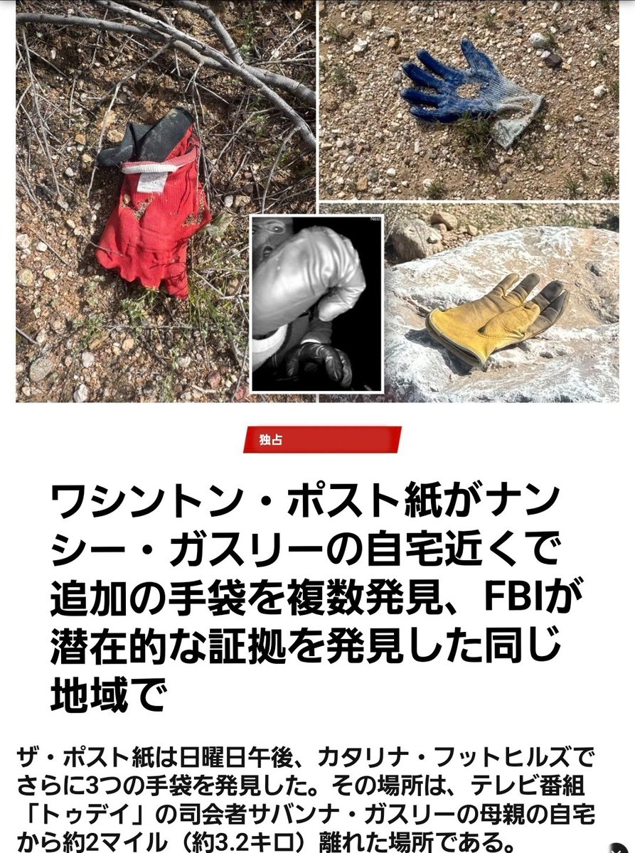 この手袋の写真の数々、まるでトム・ハンクスのインスタグラムみたいだ。