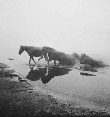 @ClassicVersion (@7_ijy) on Twitter photo 