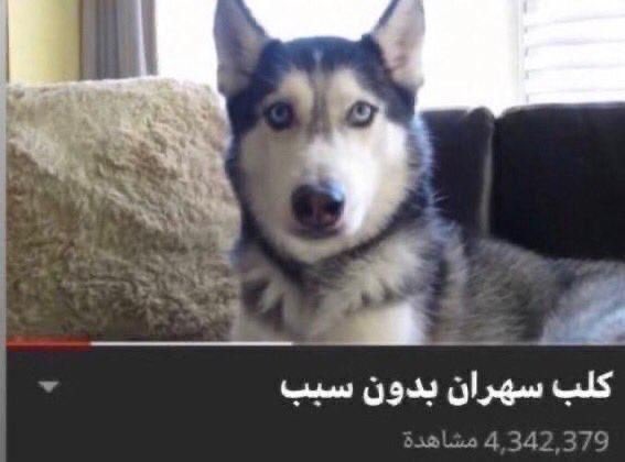 ياصباح الله خير 
#AKnightOfTheSevenKingdom