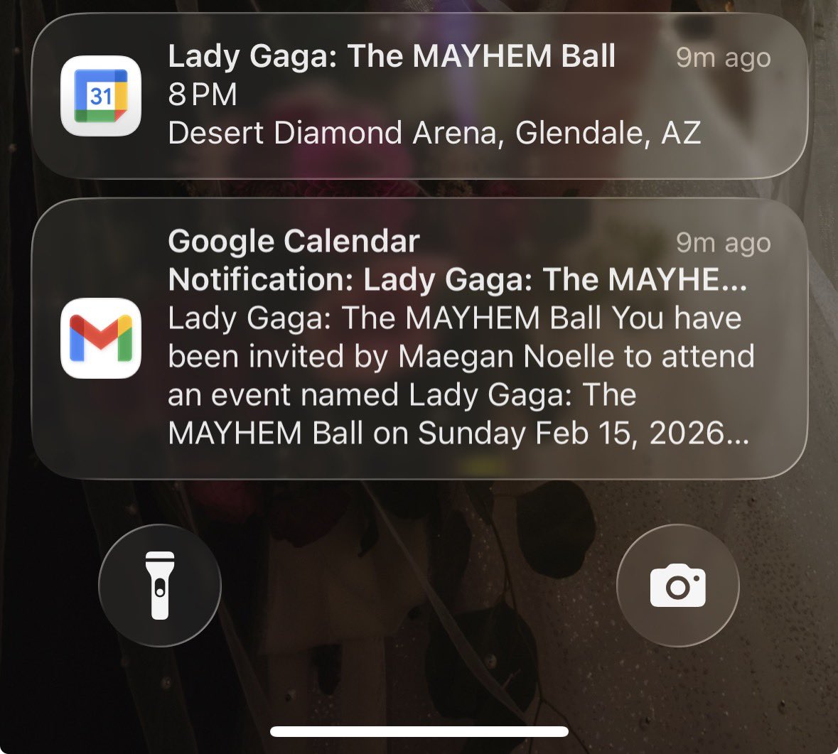 Supposed to be seeing Gaga tonight but instead I'm at home trying to be a good adult and save money :((((((