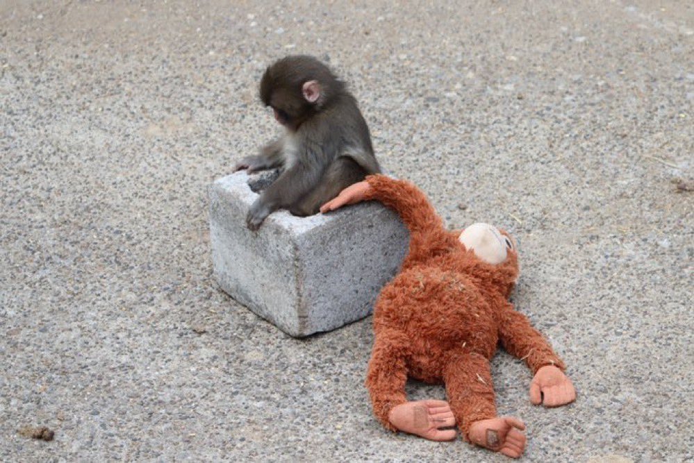 I Deserve it All 🇨🇦 tweet media