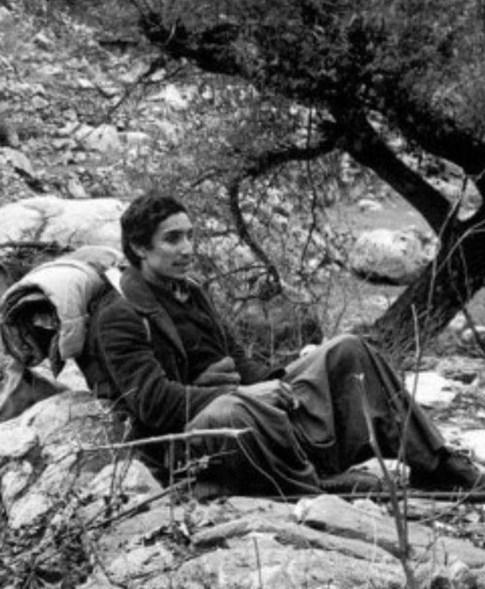 Soviet -Afghan War Samurai 1980 tweet media