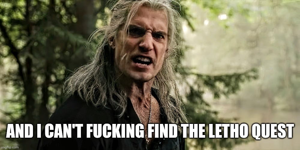 me on my new game plus playthrough of The Witcher 3 with the brothers in arms mods installed but i didn't simulate a Witcher 2 save nor have i played The Witcher 2 yet 🥲