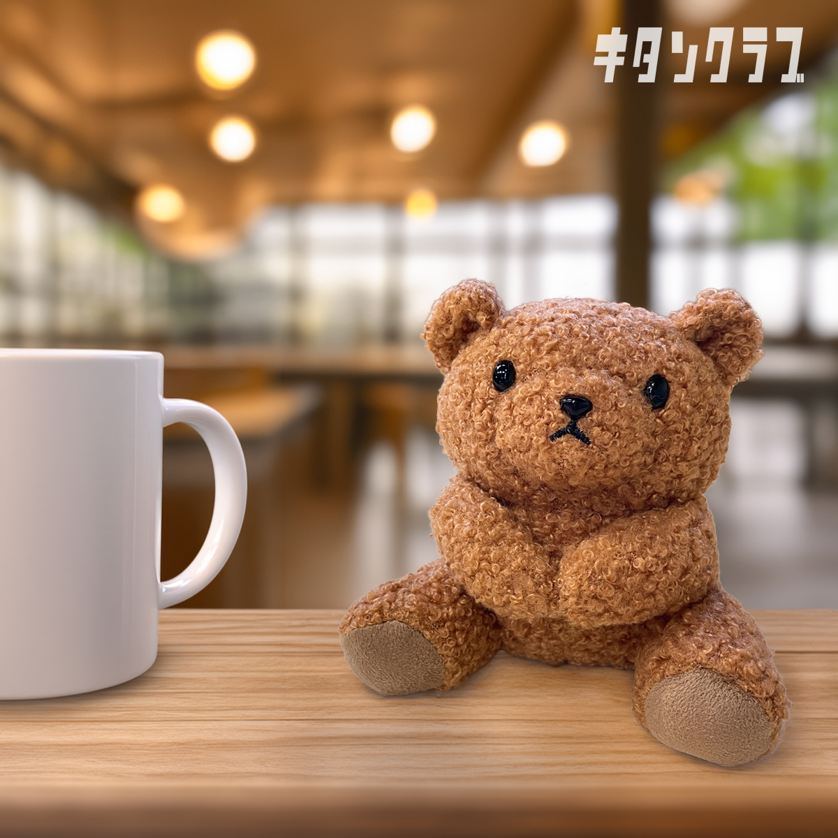 ふわふわ♡モコモコな存在感🐻✨ 一緒にいるだけで🧸 可愛くて