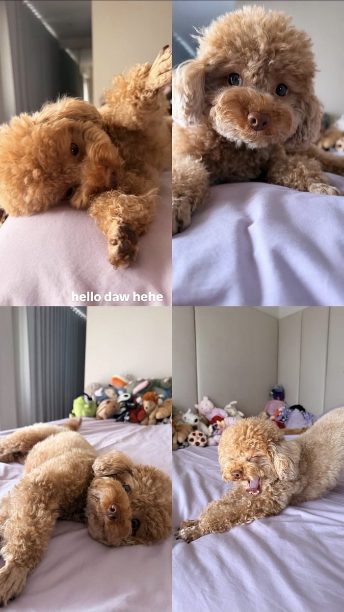 hello cutie eevee

#ACBonifacio | <a href="/BonifacioAc/">ac</a>