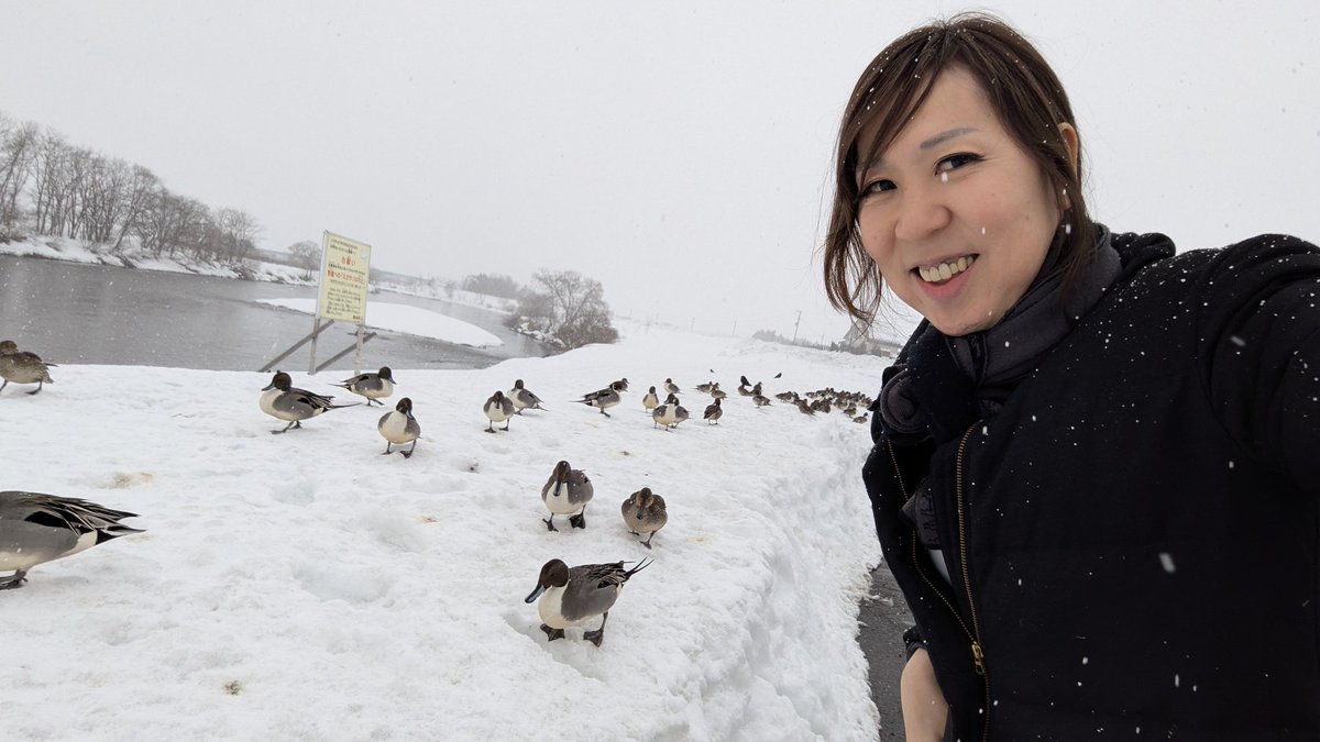 きょんちゃん (@painter_kyon) / Posts / X